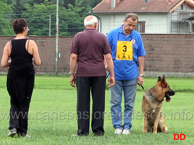 luciano-pacchetti-con-pecos-di-casa-beggiato-02.jpg - Luciano Pacchetti con Pecos di Casa Beggiato (Avviamento) C 92