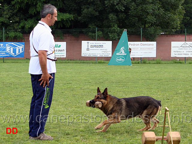 nicola-rasicci-con-roy-04.jpg - Nicola Rasicci con Roy B punti 94