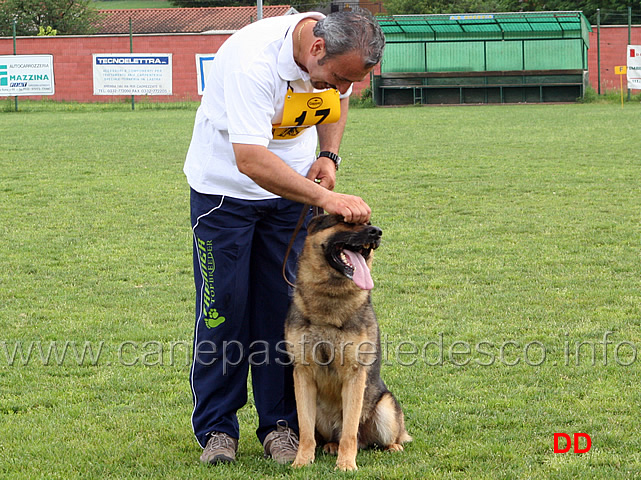 nicola-rasicci-con-roy-06.jpg - Nicola Rasicci con Roy B punti 94