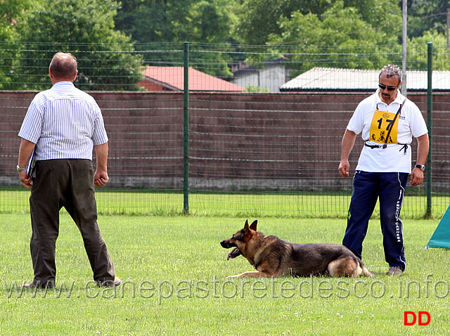 nicola-rasicci-con-roy-08.jpg - Nicola Rasicci con Roy C punti 96