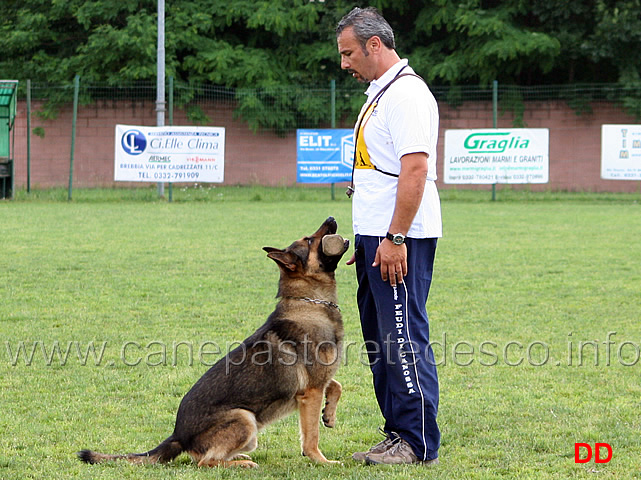 roy-10.jpg - Nicola Rasicci con Roy B punti 94