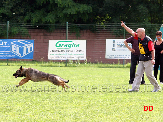 vincenzo-panini-con-quina-dello-zio-07.jpg - Vincenzo Panini con Quina dello Zio B punti 93