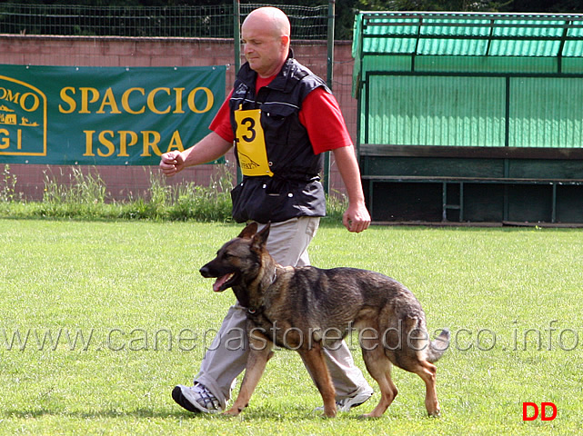 vincenzo-panini-con-quina-dello-zio.jpg - Vincenzo Panini con Quina dello Zio B punti 93