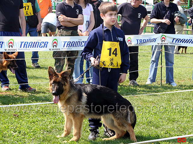 015.jpg - Baby maschi 3 Eiko del Signore degli Anelli