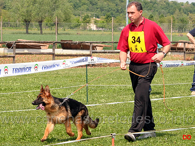 019.jpg - Juniores femmine Lucy dei Due Fiumi