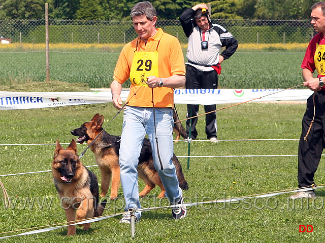 023.jpg - Juniores femmine Quiri dell'Alpe Adria e Lucy dei Due Fiumi