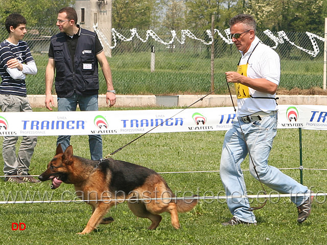 047.jpg - Giovanissime femmine Ulme di Casa Ines