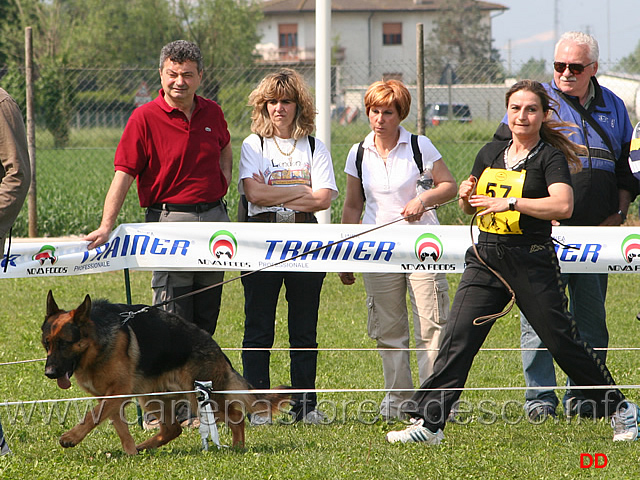 075.jpg - Giovanissimi maschi Brix di Casa Pastori