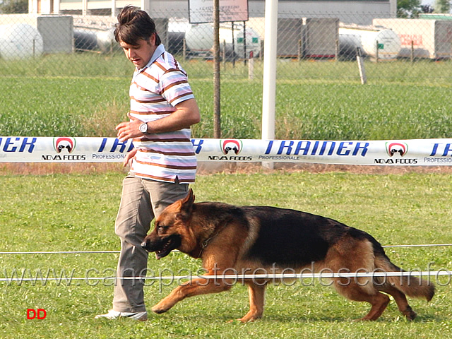 130.jpg - Adulti maschi Stefano Chiaia con Mork dei Profeti al fuss