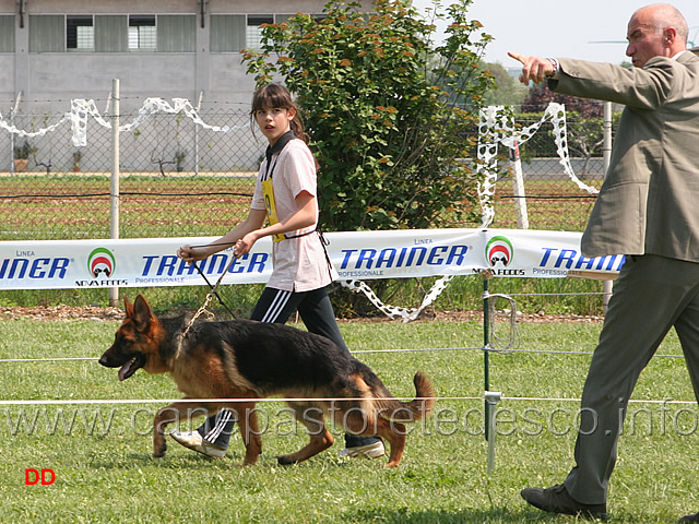 149.jpg - Soci juniores in campo: Arianna Nicoli conduce War di Ca' San Marco, attentissima alle indicazioni del giudice