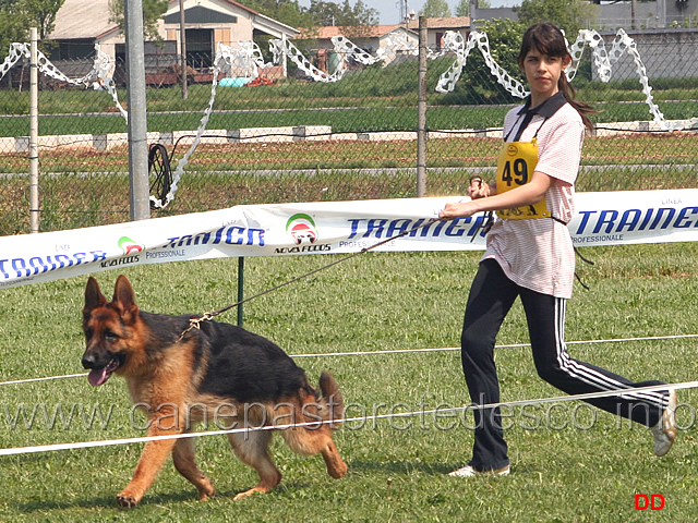 150.jpg - Soci juniores in campo: Arianna Nicoli conduce War di Ca' San Marco