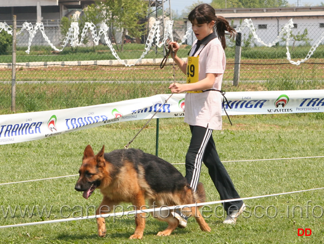 151.jpg - Soci juniores in campo: Arianna Nicoli conduce War di Ca' San Marco