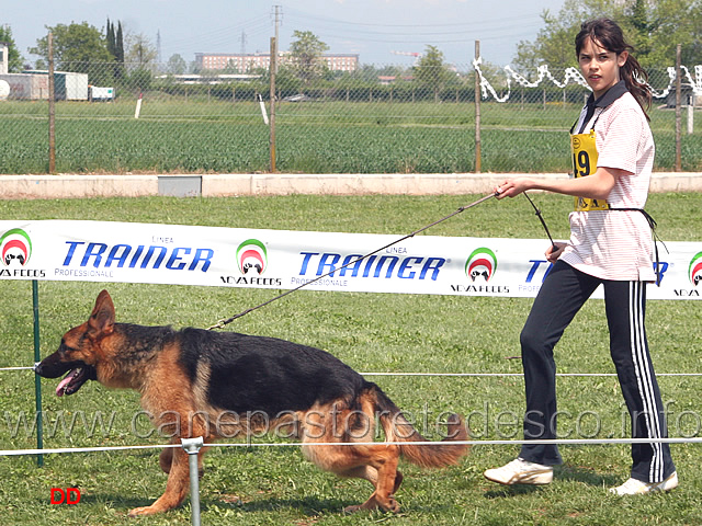 152.jpg - Soci juniores in campo: Arianna Nicoli conduce War di Ca' San Marco