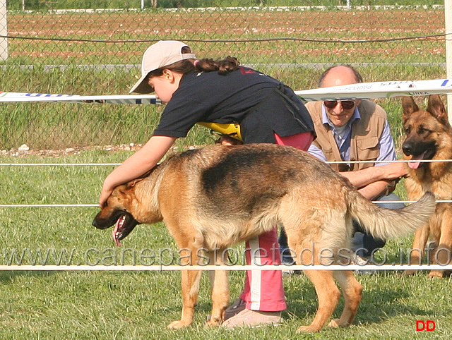 156.jpg - Soci juniores in campo: Anna Zampieri, con il piglio della veterana, chiude gli occhi alla cagna per non farle vedere dove si nasconde il chiamatore