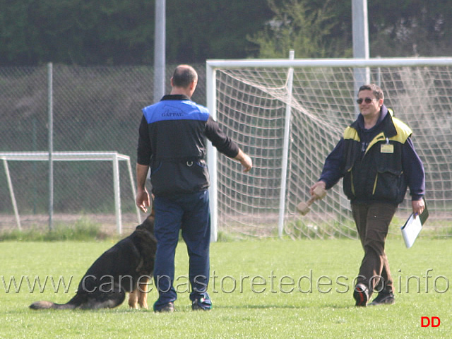 031.jpg - IPO1 Giuseppe Pruneri con Otis di Casa Derna. Il giudice Budelli recupera il riporto