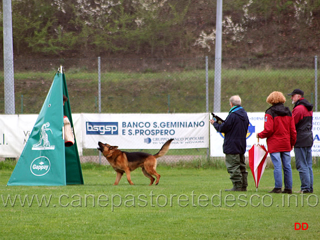 060.jpg - Mike del Catone. Affronto e abbaio