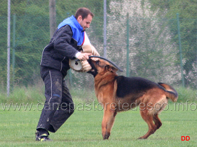 072.jpg - IPO3 Mike del Catone. Attacco lanciato