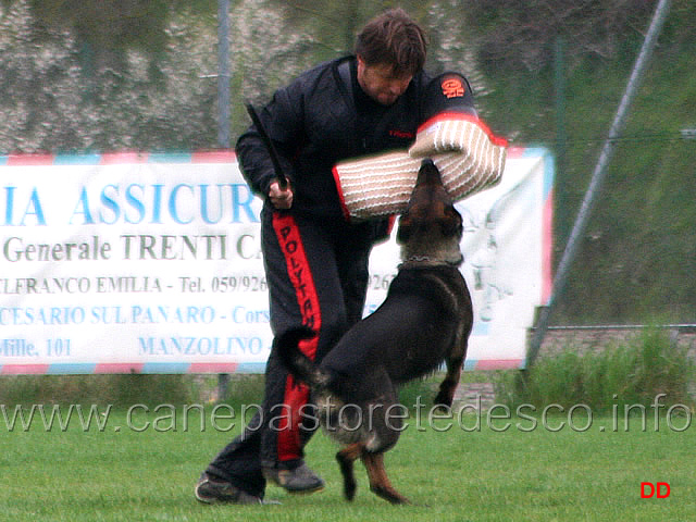 077.jpg - IPO3. Giovepluvio Dixi. Difesa del cane durante la fase di vigilanza