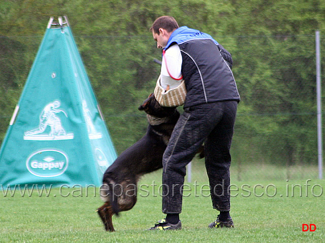 085.jpg - IPO3. Giovepluvio Dixi. Attacco lanciato