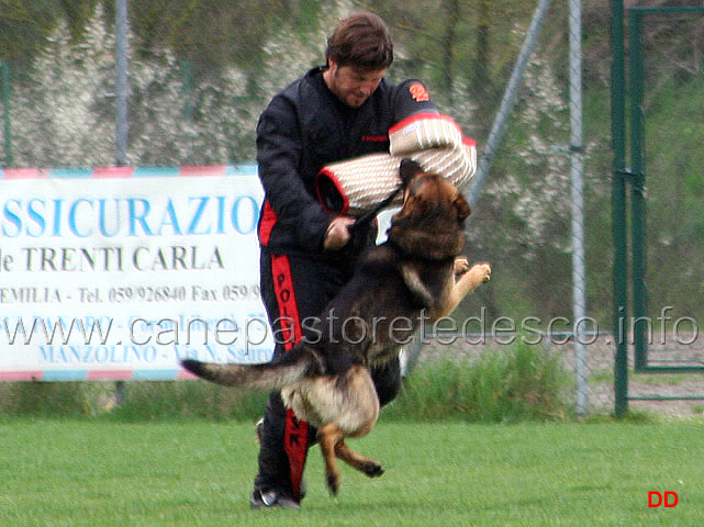 094.jpg - IPO3. Bonny. Difesa del cane durante la vigilanza