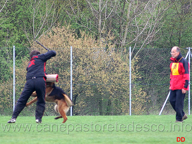 110.jpg - IPO3  Mutz (detto Ax). Attacco al cane durante la condotta da dietro