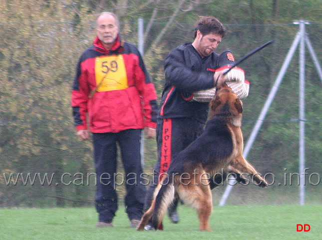 112.jpg - IPO3  Mutz (detto Ax). Attacco al cane durante la condotta da dietro