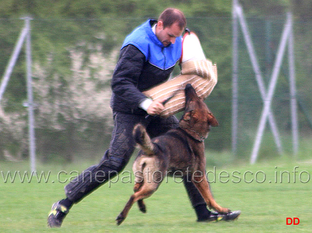 126.jpg - IPO2  Lami Layut. Attacco lanciato