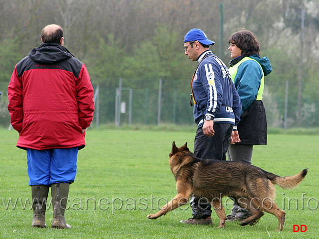 128.jpg - IPO3 Nicola Rasicci con Roy (fase B 95 punti)