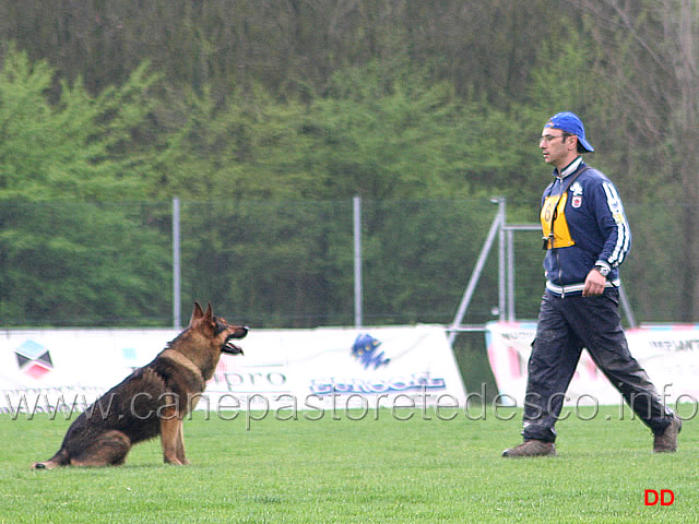 130.jpg - IPO3 Nicola Rasicci con Roy (fase B 95 punti)