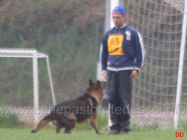 131.jpg - IPO3 Nicola Rasicci con Roy (fase B 95 punti)