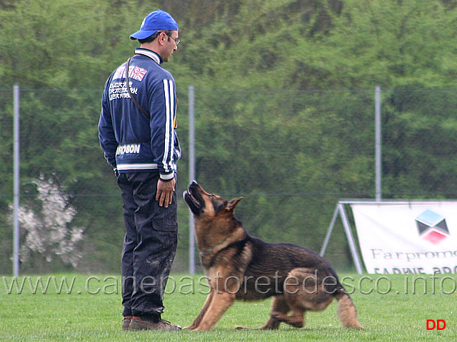 135.jpg - IPO3 Nicola Rasicci con Roy (fase B 95 punti)