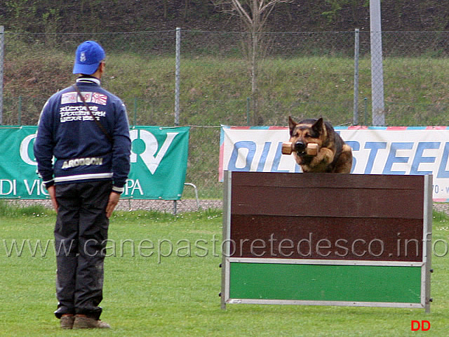 138.jpg - IPO3 Nicola Rasicci con Roy (fase B 95 punti)