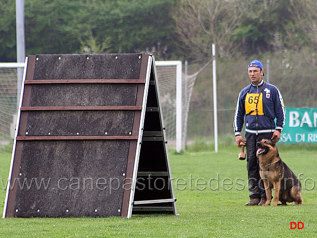 141.jpg - IPO3 Nicola Rasicci con Roy (fase B 95 punti)