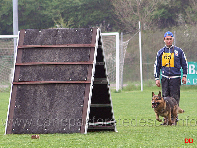 143.jpg - IPO3 Nicola Rasicci con Roy (fase B 95 punti)