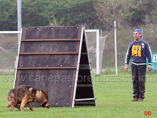 145.jpg - IPO3 Nicola Rasicci con Roy (fase B 95 punti)