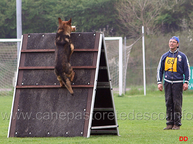 146.jpg - IPO3 Nicola Rasicci con Roy (fase B 95 punti)