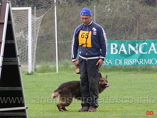 149.jpg - IPO3 Nicola Rasicci con Roy (fase B 95 punti)