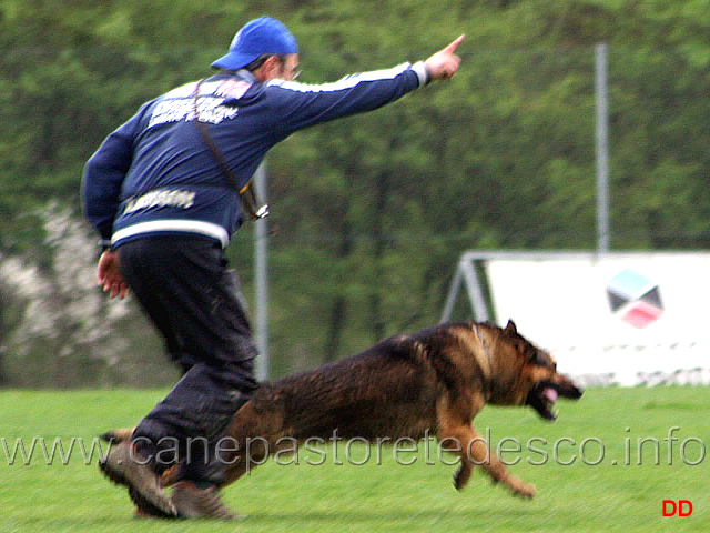 150.jpg - IPO3 Nicola Rasicci con Roy (fase B 95 punti)