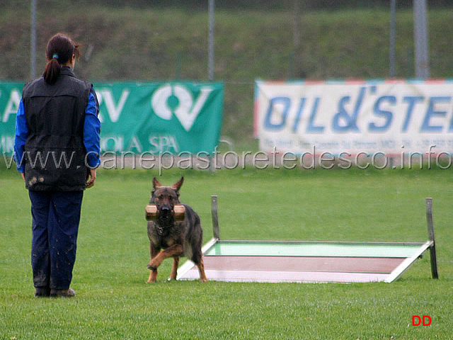 158.jpg - IPO3 Elisabetta Veronesi con Lisa di Oroval. Piccolo incidente. La cagna tocca e fa cadere il salto