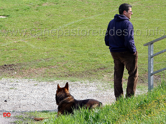 198.jpg - Foto d'ambiente. Il giudice Egidio Budelli con il suo cane in un momento di pausa