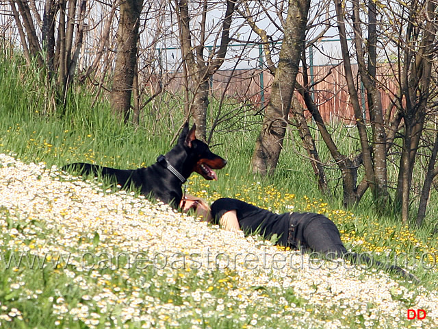 208.jpg - Momenti di relax tra gli spettatori