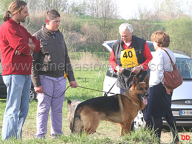 211.jpg - Pasquale Abbagnale con il suo Omer (IPO1) e altri concorrenti campani