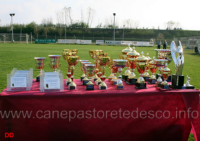 213.jpg - Foto d'ambiente. Targhe, coppe e trofei per la premiazione