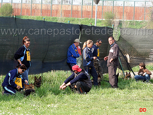 215.jpg - Si attende la cerimonia di premiazione.