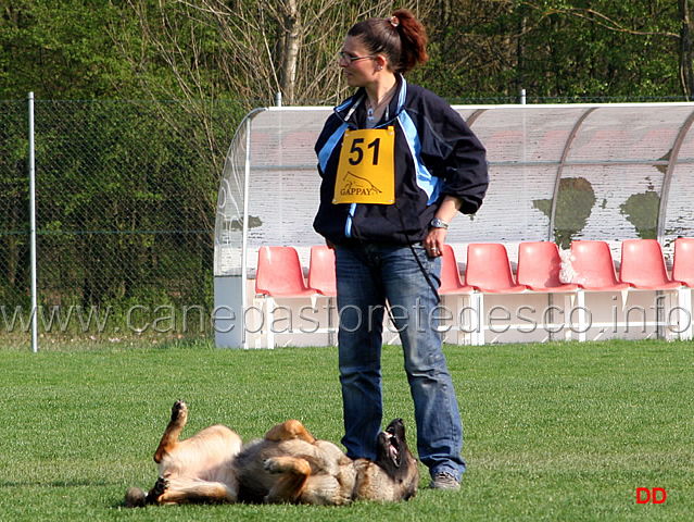 226.jpg - Si attende la cerimonia di premiazione. Barbara Sacco con Gipsy di Oroval