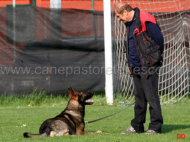 231.jpg - Si attende la cerimonia di premiazione.Alberto Leonardelli con Hex della Zattera