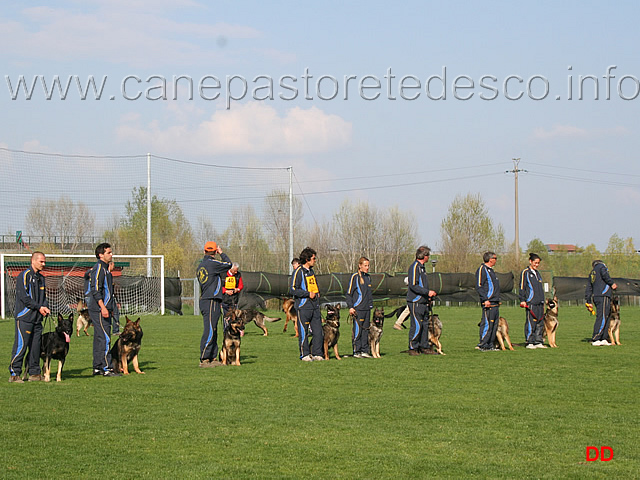 234.jpg - Cerimonia di premiazione. Il cani con l'affisso della Decima Mas