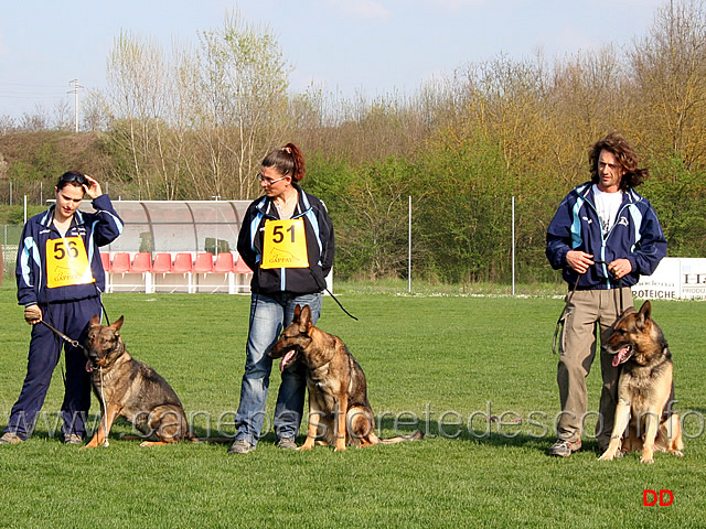 235.jpg - Cerimonia di premiazione. Il cani con l'affisso di Oroval