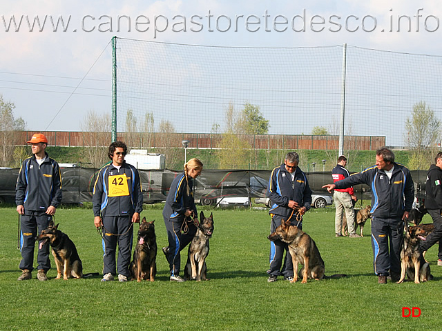 238.jpg - Cerimonia di premiazione. Il cani con l'affisso della Decima Mas