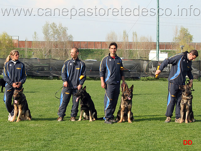 239.jpg - Cerimonia di premiazione. Il cani con l'affisso della Decima Mas